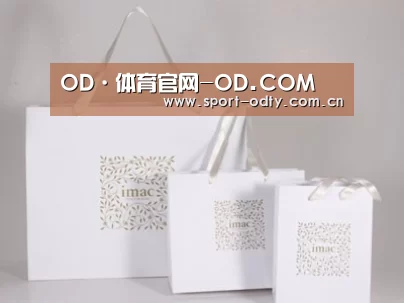 项目名称十一