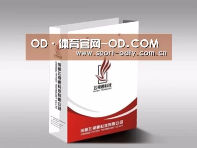 项目名称十三