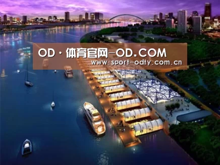 案例展示八