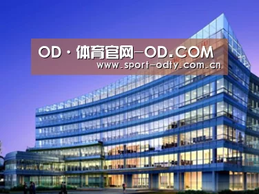 案例展示五