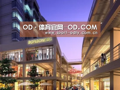 案例展示一